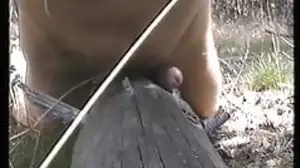 Grinding my weasel words at a big fallen tree