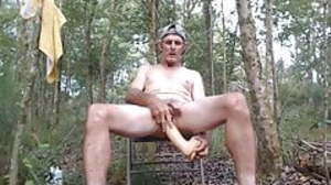 Toys in the woods
