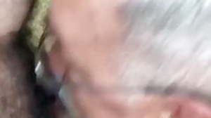 Mustache daddy swallow