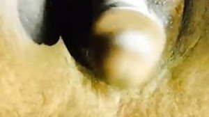 Indian gay irritant play