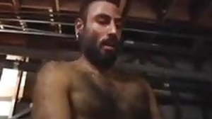 Hairy authority