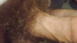 Silverdaddy bear sucks my big cock