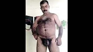 turkish daddy bear