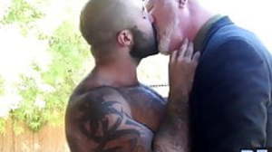 Hairy Bear and Daddy