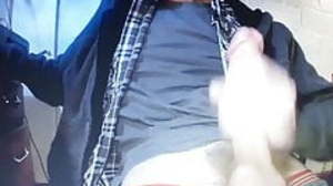 Horse hung massive thick huge cock big balls